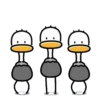 Ostrich 1 💖MOV 20