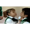 La familia peluche 14