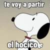 te voy a partir el hocicot