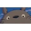 Ghibli  🐈🌟 28