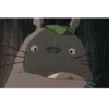 Ghibli  🐈🌟 29
