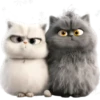 Amor Gatuno💗💞1🇵🇪Movi 22