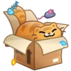 in the box mov 26