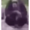MEMES ANIMATED (italiani) 3 29