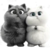 Amor Gatuno💗💞1🇵🇪Movi 25