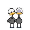 Ostrich 1 💖MOV 22