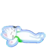 Gatito loco💞1🇵🇪Movi 28