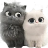 Amor Gatuno💗💞1🇵🇪Movi 27
