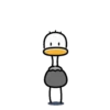 Ostrich 1 💖MOV 23