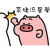 Quby Pig Series 17