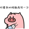 Quby Pig Series 18