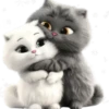 Amor Gatuno💗💞1🇵🇪Movi 28