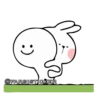 Rabbit👉🏻👉🏻 29
