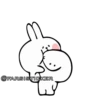 Rabbit👉🏻👉🏻 30