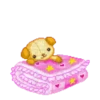 PicMix🩷Kawaii 2🌈🌟.mov 6