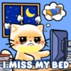 Mochi Gifs #2😺⭐.mov 5