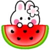 Cute summer bunny 🏖🐰 MOV 5