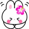 Cute summer bunny 2🏖🐰 MOV 5