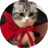 gatitos mov 5