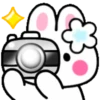 Cute summer bunny 2🏖🐰 MOV 7