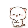 MOCHIS🐈CAT Especial III MOV 7