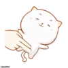 Naughty Cat One- 15
