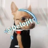🍷🐕Perrito En Efecto2🐕🍷 6