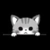 Gatos😺💞5🇵🇪Movi 8