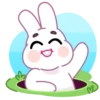 Bunny by wik mov 11