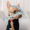 🍷🐕Perrito En Efecto2🐕🍷 11