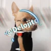 🍷🐕Perrito En Efecto2🐕🍷 12