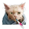 animals 2 mov 11