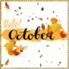 🎃вιEиνEиι∂σ σ¢тυвRE 🍂 14