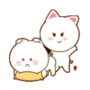 Gatitos amorosos 1 ♥️ MOV.🇲🇽 13