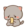 MOCHIS🐈CAT Especial III MOV 12