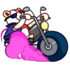nonro bear 2 mov 8