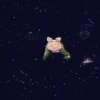 🩷мιSS ριggY 🐷 10