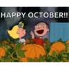 🎃вιEиνEиι∂σ σ¢тυвRE 🍂 16