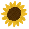 Подсолнухи 14