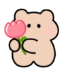 mochi bear mov 11