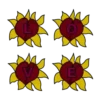 Подсолнухи 15