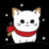 Gatos😺💞5🇵🇪Movi 12