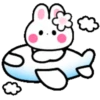 Cute summer bunny 2🏖🐰 MOV 13