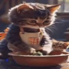 GATOS ANIMADOS 2 12