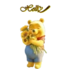Подсолнухи 16