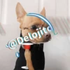 🍷🐕Perrito En Efecto2🐕🍷 18