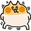 TEO mov 23