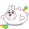 Bunny by wik mov 17