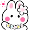 Cute summer bunny 🏖🐰 MOV 11