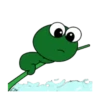 MR Frog 💖🐸 Mov 21